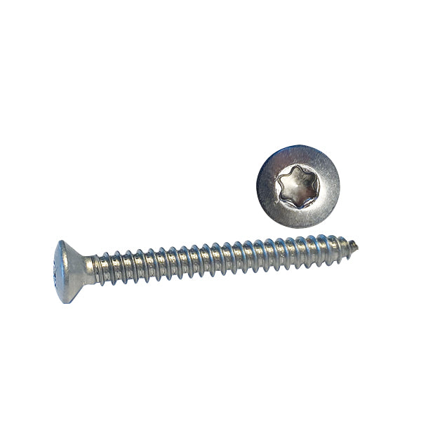 1852 skrue med linsehoved i A4 rustfrit stål, set forfra